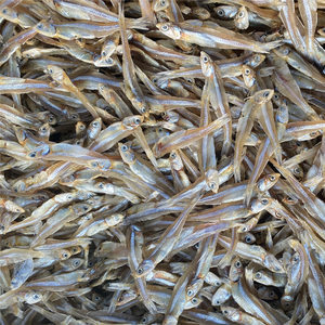 北海銀魚仔 鮮美海味，干貨之選——最新批發報價與市場指南