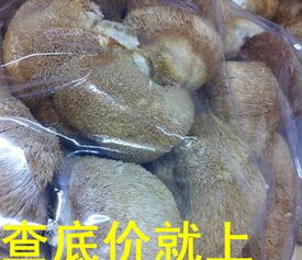 一德路海味干貨批發(fā) 優(yōu)質(zhì)中等規(guī)格干猴頭菇，足干色好，海味市場好貨供應